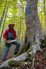 2-classificata_ex_aequo_foto_n5_Progetto_FAGUS