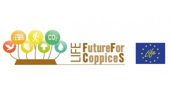 LIFE FutureForCoppices: prodotti di comunicazione by CdF