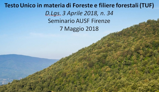 Il Testo Unico Forestale all’Università