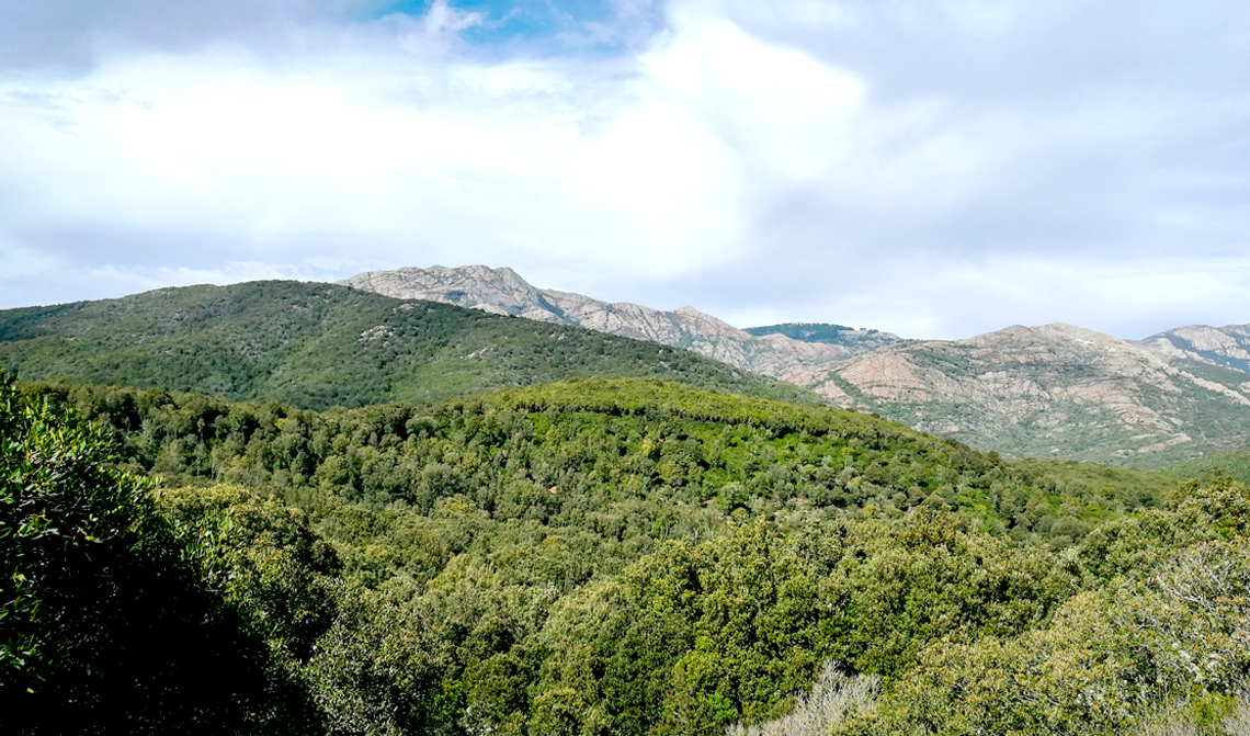 Marganai: lettera aperta al Direttore di Sardinia Post