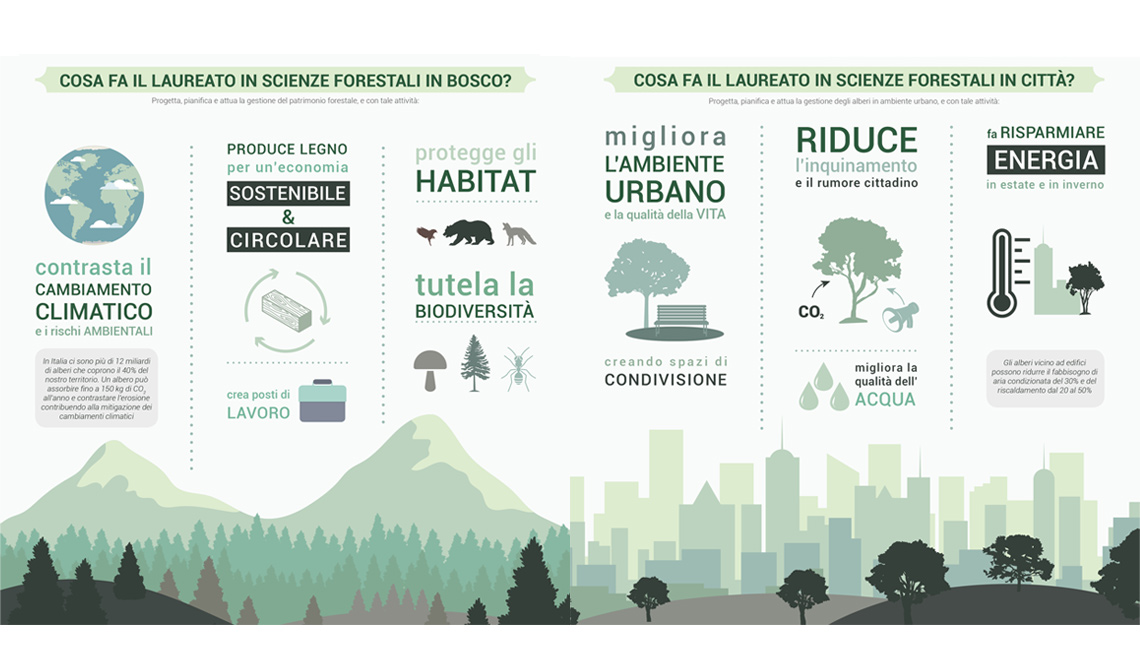 Cosa fa il laureato in scienze forestali e ambientali? Chi lo forma?