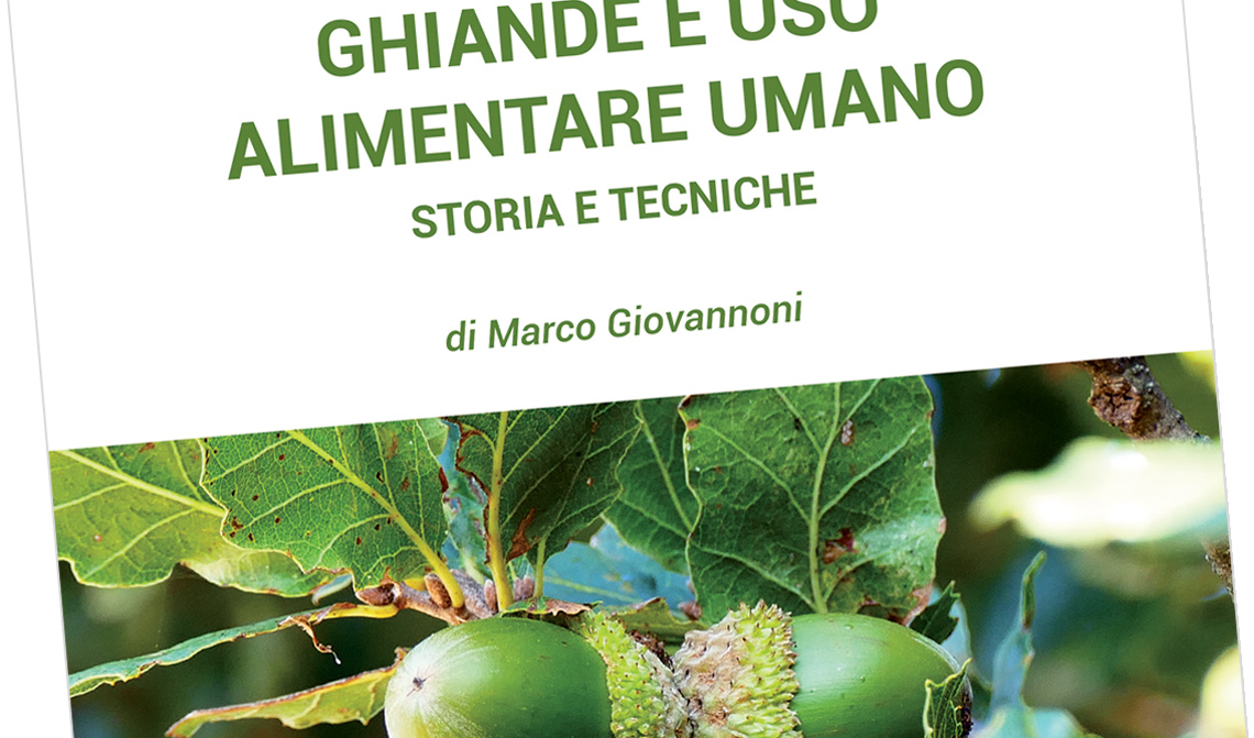 Ghiande e uso alimentare umano