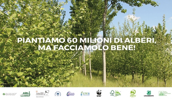 Piantiamo 60 Milioni di alberi, ma facciamolo bene!