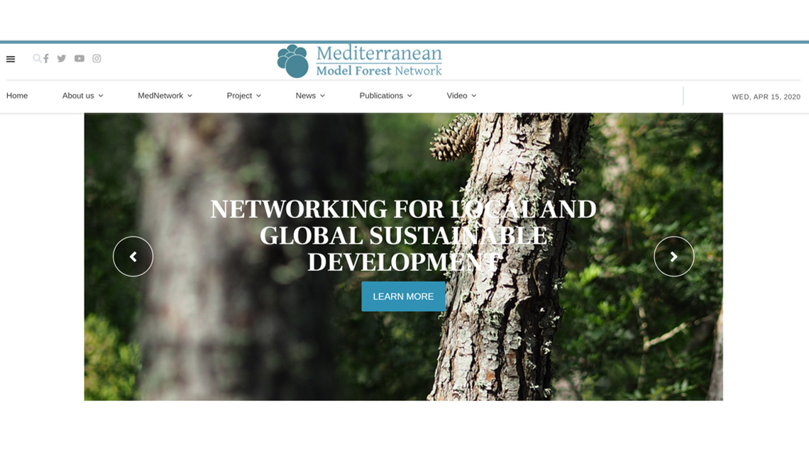Un nuovo sito web per il Mediterranean Model Forest Network