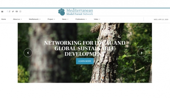 Un nuovo sito web per il Mediterranean Model Forest Network
