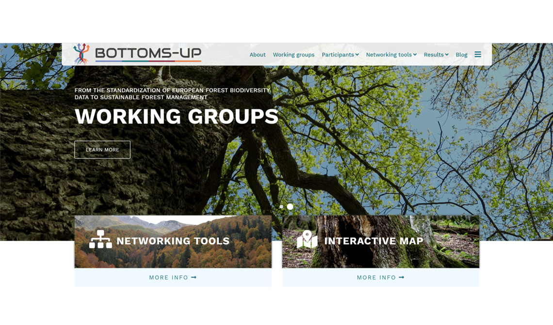 Logo e sito web per il progetto BOTTOMS-UP