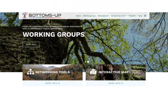 Logo e sito web per il progetto BOTTOMS-UP