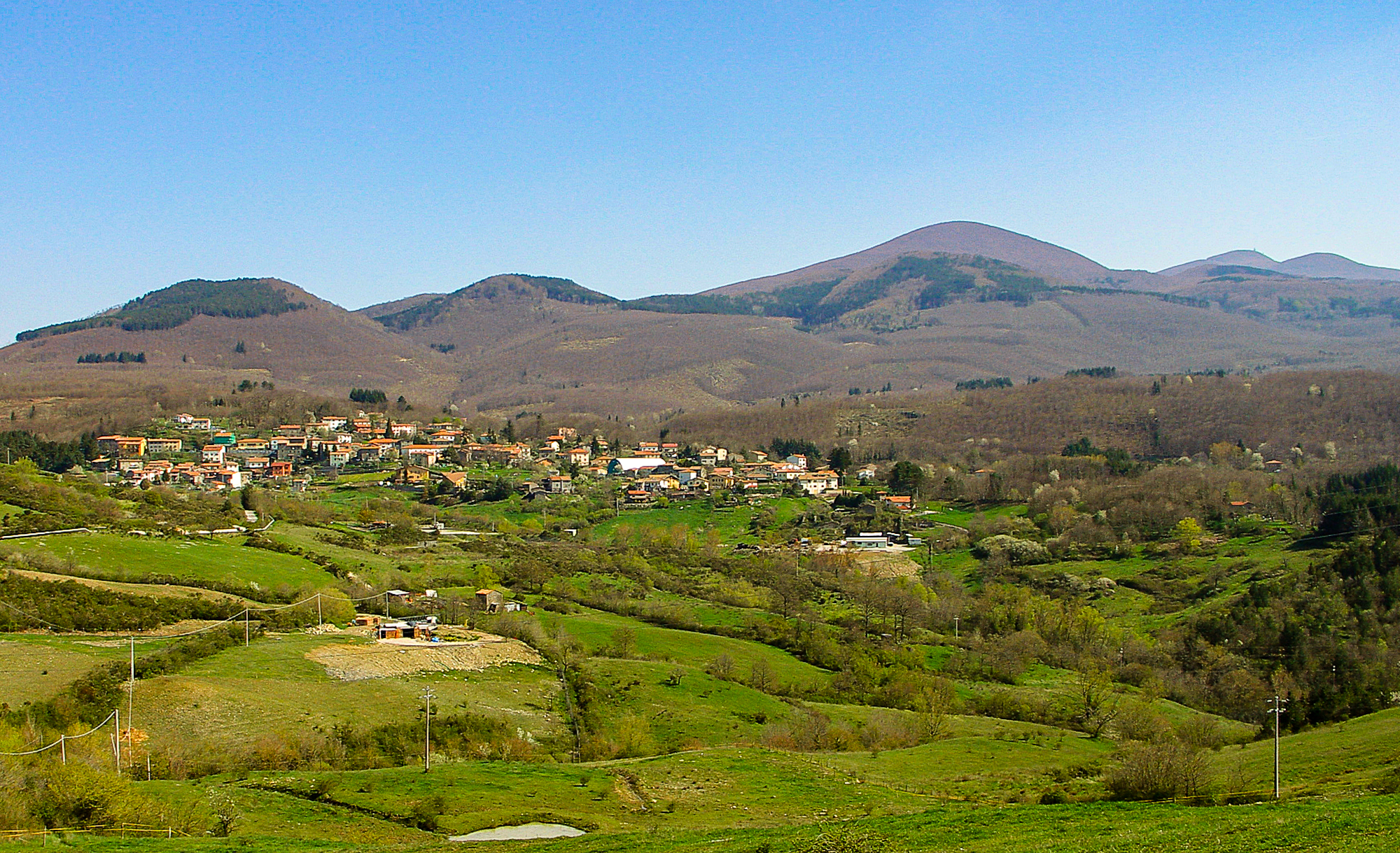 Blocco del ceduo in Amiata: 21 sigle del settore forestale contro il parere della Sovrintendenza