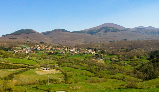 Blocco del ceduo in Amiata: 21 sigle del settore forestale contro il parere della Sovrintendenza