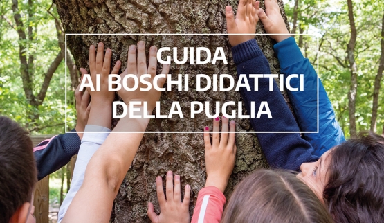 La guida ai Boschi Didattici pugliesi