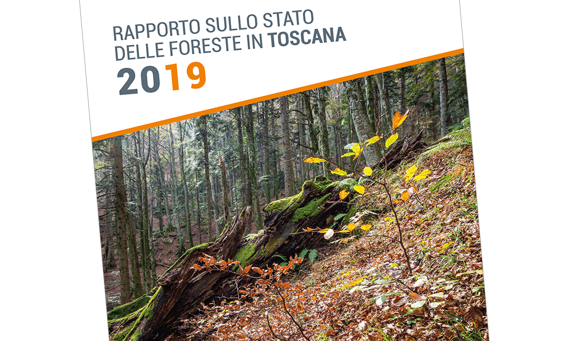 Rapporto sullo stato delle Foreste in Toscana 2019