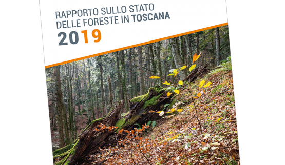 Rapporto sullo stato delle Foreste in Toscana 2019