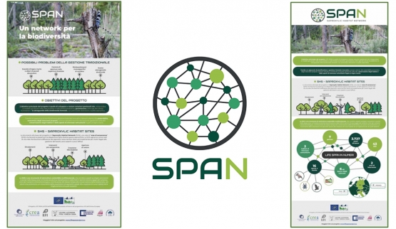 Brochure e Roll-up per il progetto LIFE SPAN