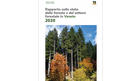 Rapporto sullo stato delle foreste e del settore forestale in Veneto 2020