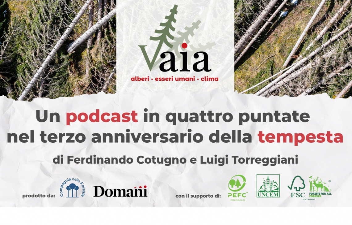 VAIA - alberi, esseri umani, clima