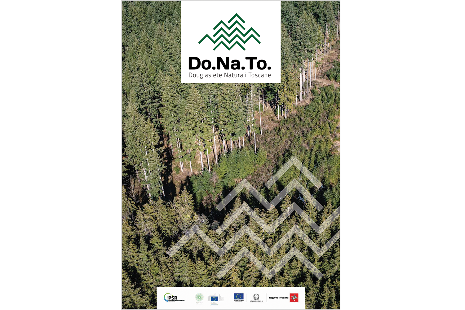 Do.Na.To.: un progetto che reclama la douglasia in Toscana!