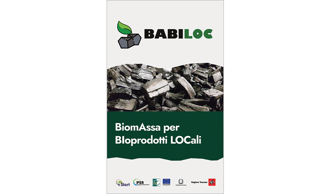 Progetto BABILOC per una carbonizzazione sostenibile