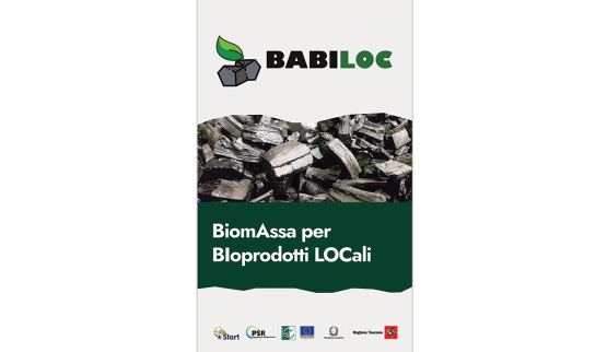 Progetto BABILOC per una carbonizzazione sostenibile