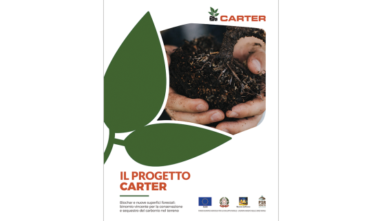 Il progetto CARTER. Pioppicoltura e biochar in Veneto