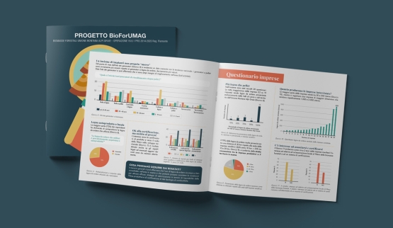 Studio su flussi e consumi di biomasse legnose a fini energetici