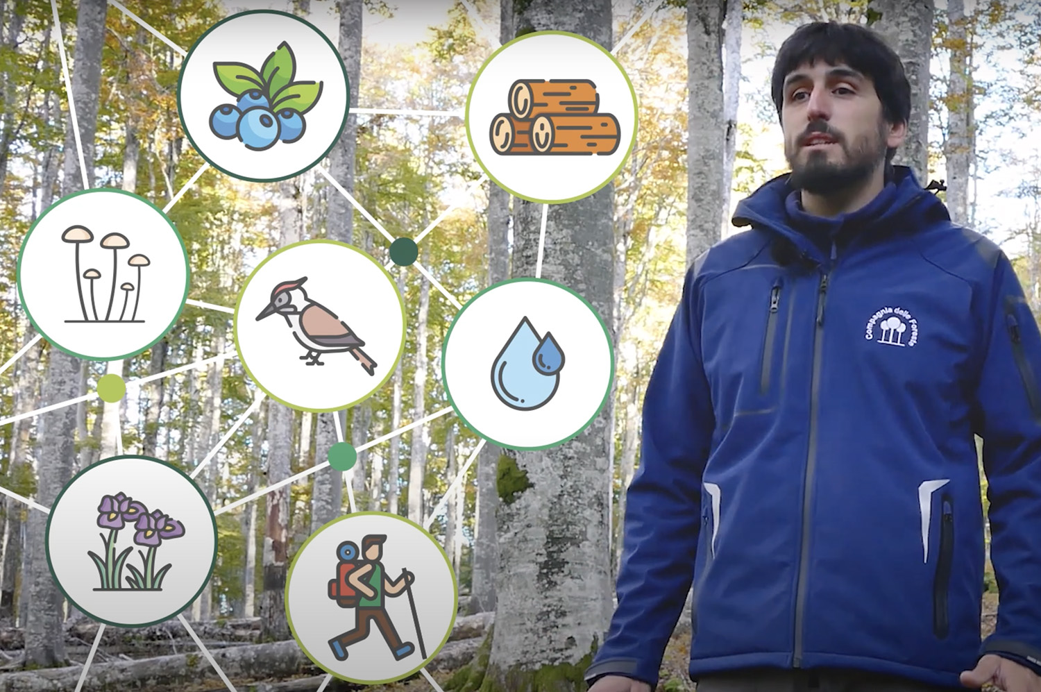 Gestione forestale e biodiversità saproxilica: sei video divulgativi dedicati alle scuole primarie