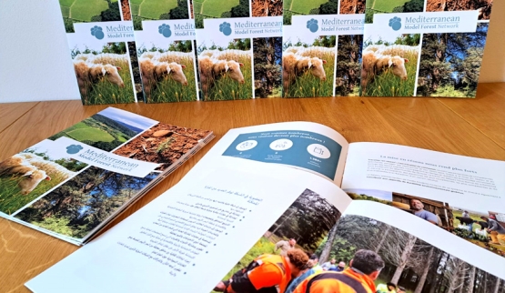 Nuova brochure MMFN con focus sulla restoration e 4 lingue in più