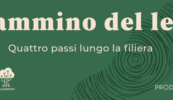 Il cammino del legno Quattro passi lungo la filiera