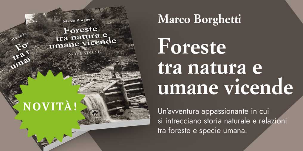 “Foreste tra natura e umane vicende”, il nuovo libro di Marco Borghetti edito da Compagnia delle Foreste