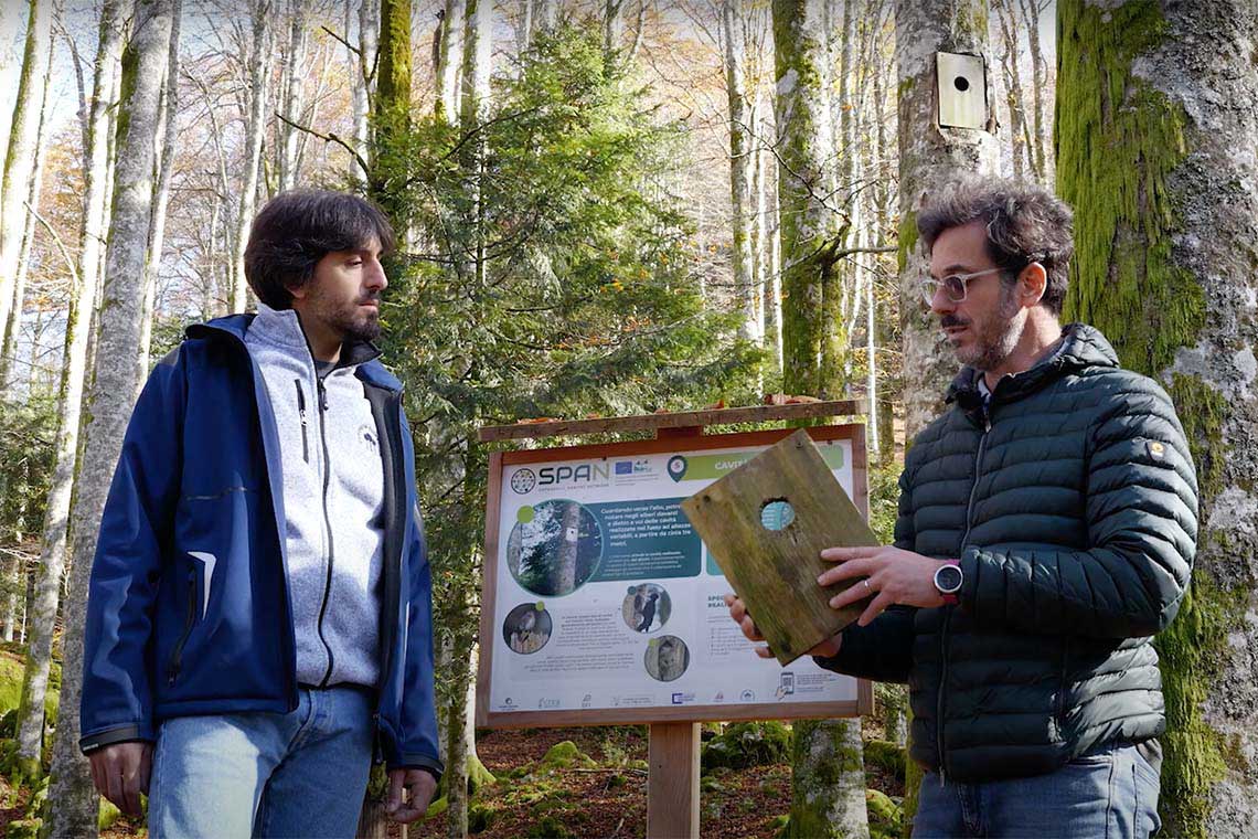 LIFE SPAN, cinque brevi video sugli interventi pro-senescenza e di creazione di microhabitat