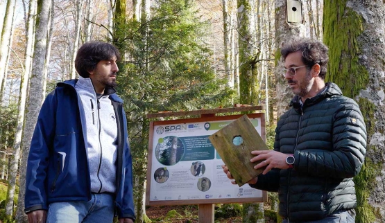 LIFE SPAN, cinque brevi video sugli interventi pro-senescenza e di creazione di microhabitat