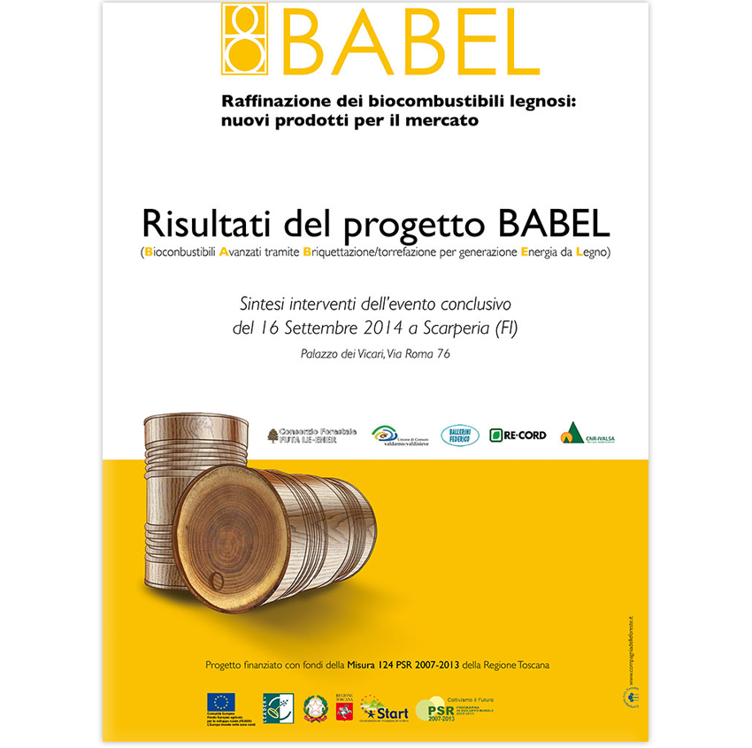 16 Raffinazione dei biocombustibili legnosi BABEL
