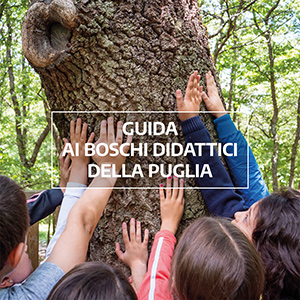 42 Guida ai boschi didattici della Puglia