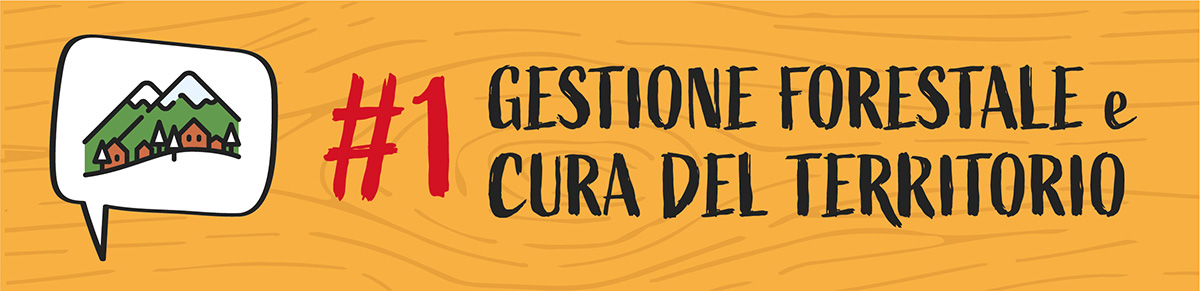 Puntata 1 - Gestione forestale e cura del territorio  